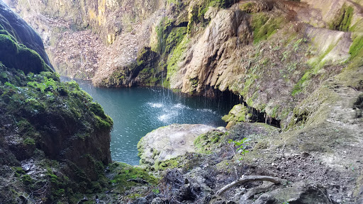 Non-Profit Organization «Westcave Outdoor Discovery Center», reviews and photos, 24814 Hamilton Pool Rd, Round Mountain, TX 78663, USA