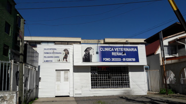Clinica Veterinaria Reñaca