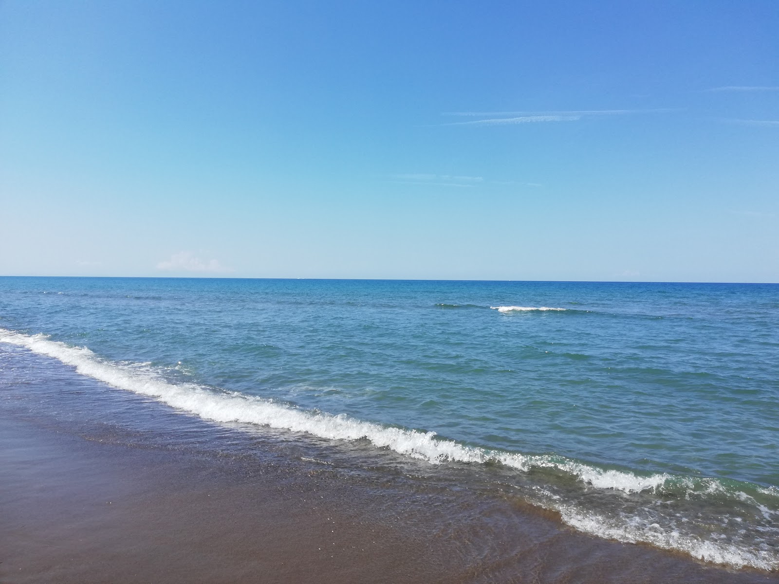 Φωτογραφία του Marina di Castagneto II ubicado en área natural