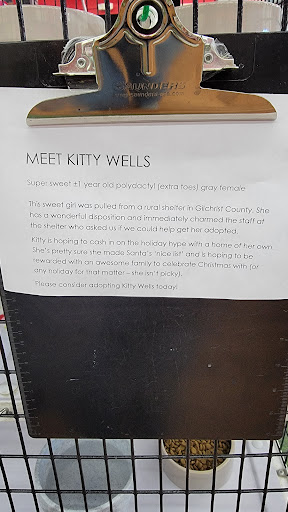 Pet Supply Store «Pet Supermarket», reviews and photos, 4524 St Johns Ave, Jacksonville, FL 32210, USA