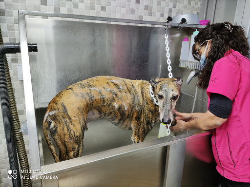 Clínica Veterinaria Vetmar en Barcelona