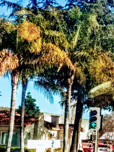 Moving and Storage Service «Ace Relocation Systems, Inc.», reviews and photos, 675 Quinn Ave, San Jose, CA 95112, USA