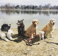 Tails Trails and More LLC - Car repair in Denver, CO, Aurora - Rated 5.0/5