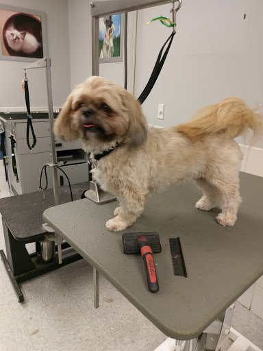 Pet Supply Store «Petco Animal Supplies», reviews and photos, 4012 W 27th Ave, Kennewick, WA 99337, USA