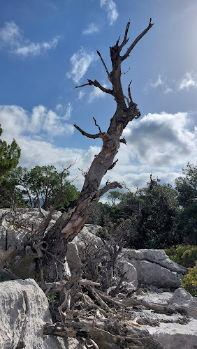 S'iscala à S'iscala
