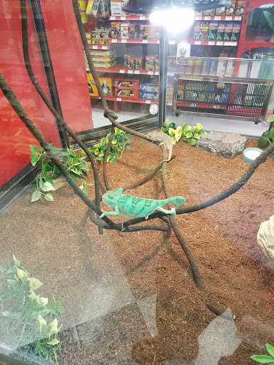 Pet Supply Store «Petco Animal Supplies», reviews and photos, 1250 William D Tate Ave #200, Grapevine, TX 76051, USA