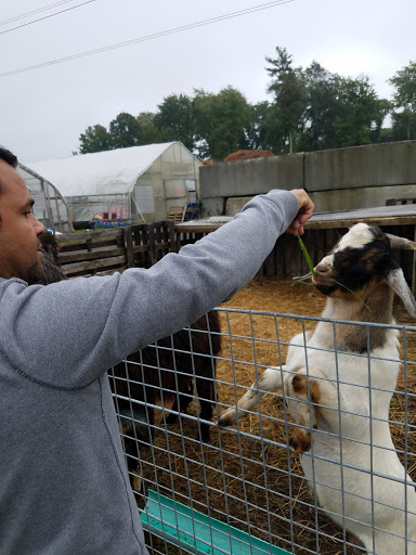 Farm «Fairmount Fruit Farm», reviews and photos, 887 Lincoln Street, Franklin, MA 02038, USA