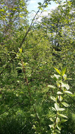 Park «A.M. Kennedy Park», reviews and photos, 10200 SW Kennedy St, Beaverton, OR 97005, USA