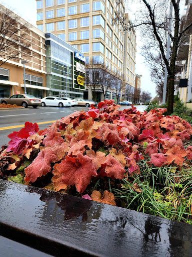 Department Store «Marshalls», reviews and photos, 1055 Metropolitan Ave #200, Charlotte, NC 28204, USA