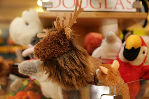 Toy Store «Genuine Toy Co.», reviews and photos, 550 Forest Ave Suite 8, Plymouth, MI 48170, USA