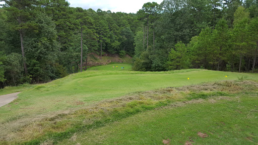 Golf Club «Tannenbaum Golf Club», reviews and photos, 5 Kustrin Rd, Drasco, AR 72530, USA
