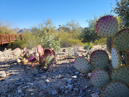 Tourist Attraction «Estrella Star Tower», reviews and photos, S Estrella Pkwy, Goodyear, AZ 85338, USA