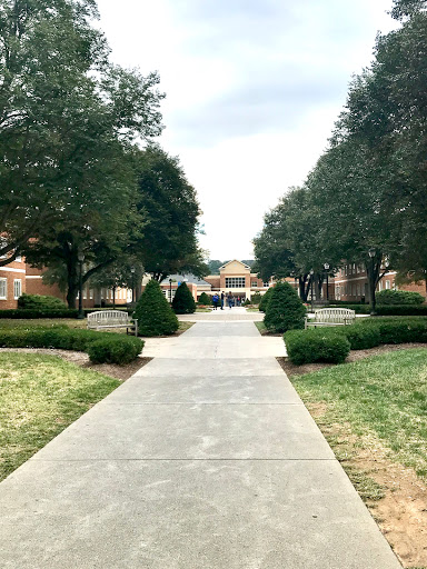 University «Radford University», reviews and photos