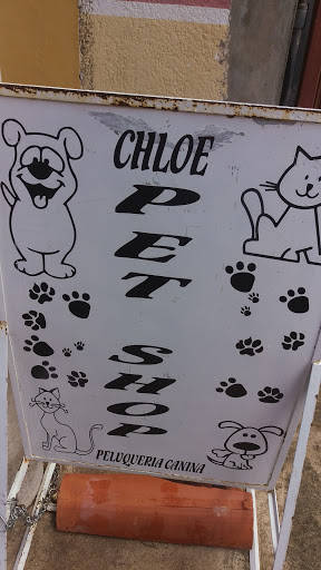 Chloe Pet Shop