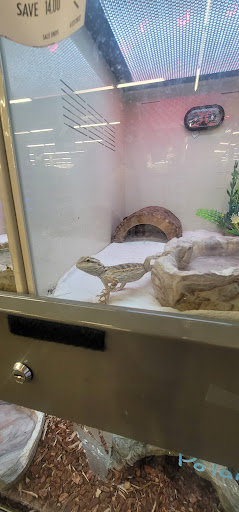 Pet Supply Store «Pet Supplies Plus», reviews and photos, 720 Hoosick Rd, Troy, NY 12180, USA