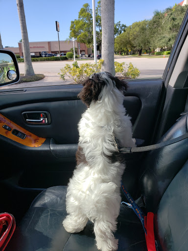 Pet Store «Wholesome Hound», reviews and photos, 198 Tamiami Trail N, Naples, FL 34102, USA