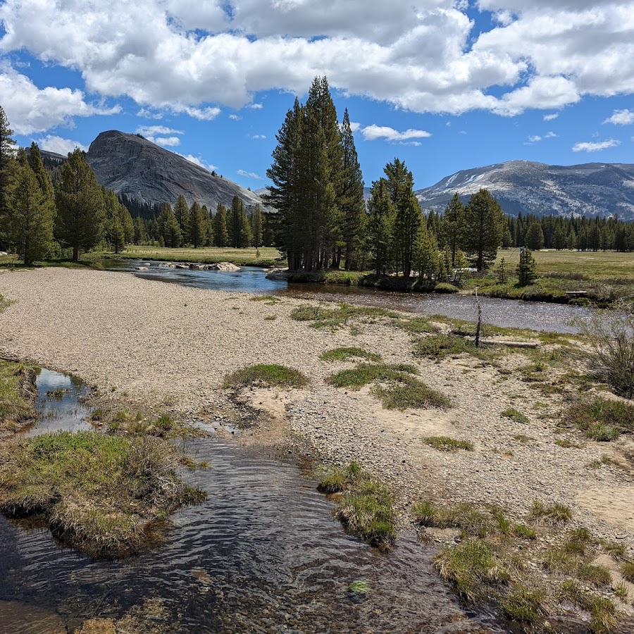 Tuolumne Meadows