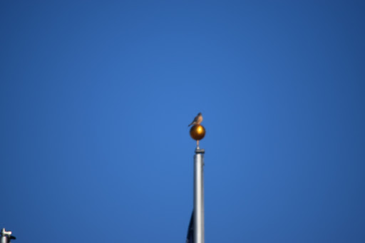 Convention Information Bureau «Alton Regional Convention & Visitors Bureau», reviews and photos, 200 Piasa St, Alton, IL 62002, USA