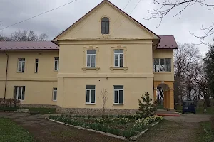 Dzieduszycki Palace image