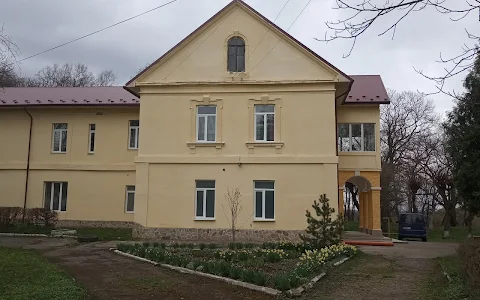 Dzieduszycki Palace image