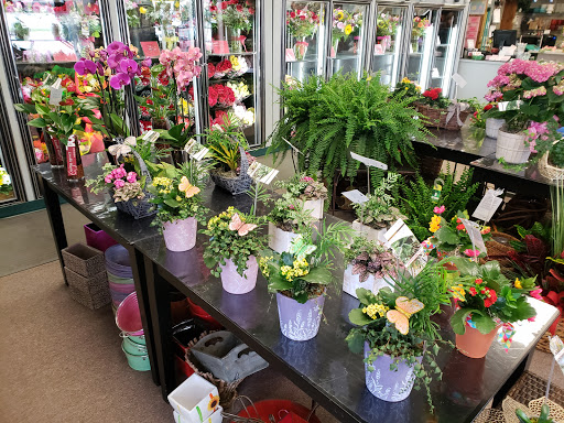 Florist «Flowerama of Springfield», reviews and photos, 659 W Sunshine St, Springfield, MO 65807, USA