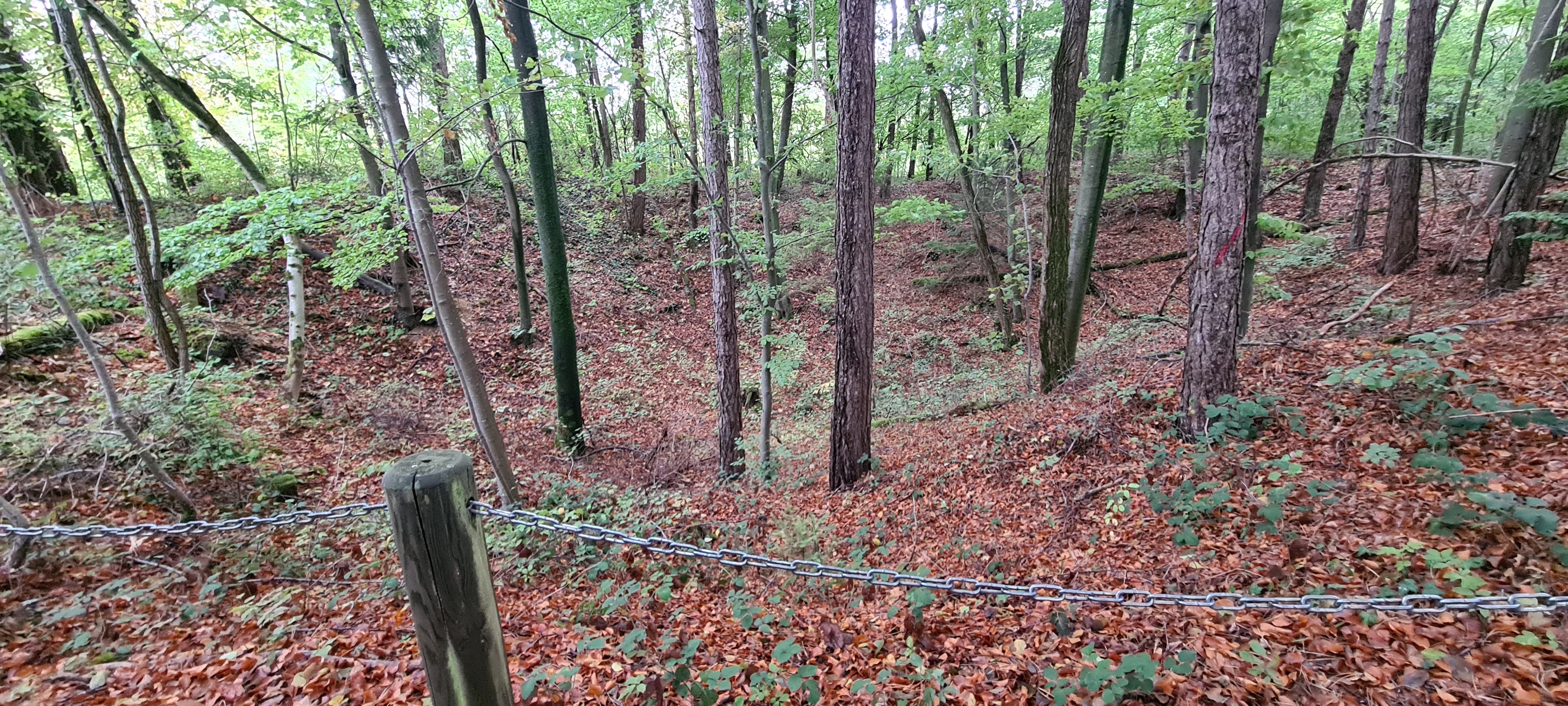 Photo n° 2 de l'avis de Béatrice.E fait le 28/09/2020 à 14:28