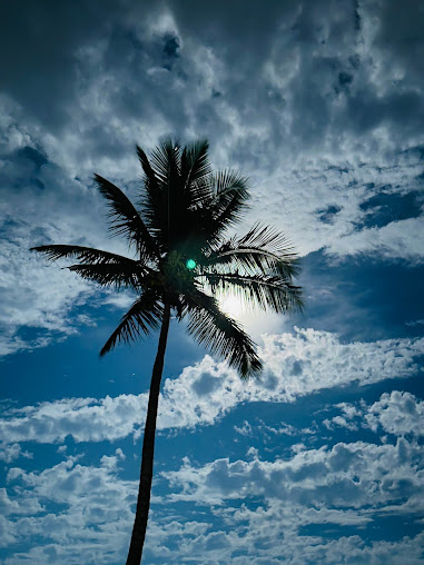 Google Maps image 17