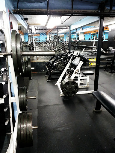 Gym «Powerhouse Gym Bayside», reviews and photos, 3409 Francis Lewis Blvd, Flushing, NY 11358, USA
