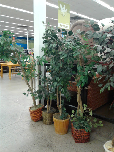 Thrift Store «Lindsay & Warner Goodwill Retail Store & Donation Center», reviews and photos, 874 E Warner Rd, Gilbert, AZ 85296, USA