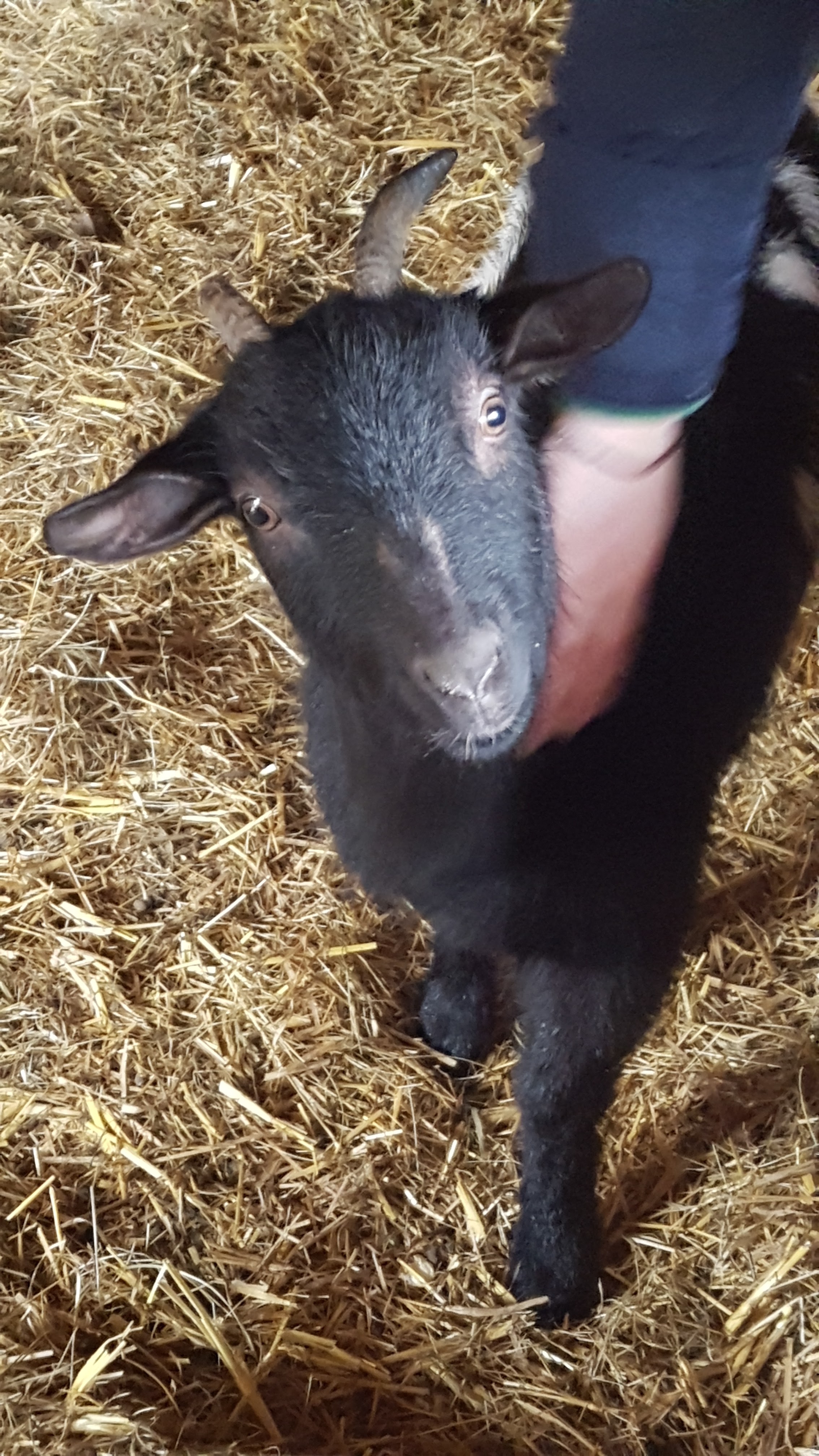 Photo n° 11 de l'avis de Clément.o fait le 17/02/2022 à 17:12