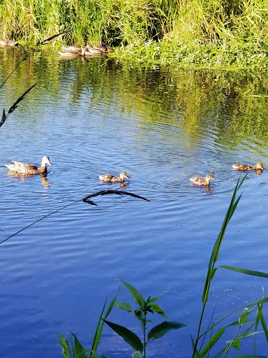 Golf Course «Willows Run Golf Complex», reviews and photos, 10402 Willows Rd, Redmond, WA 98052, USA