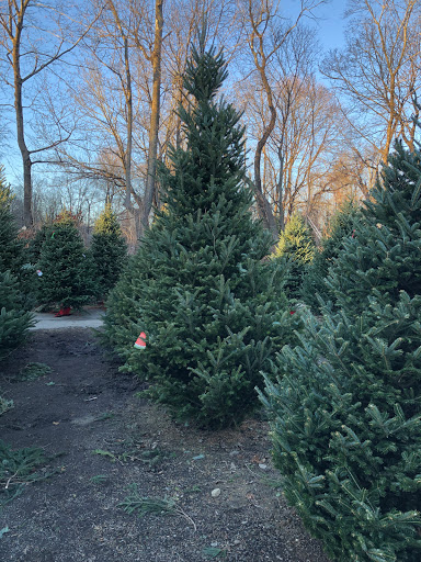 Garden Center «Copia Home and Garden», reviews and photos, 475 Smith Ridge Rd, South Salem, NY 10590, USA