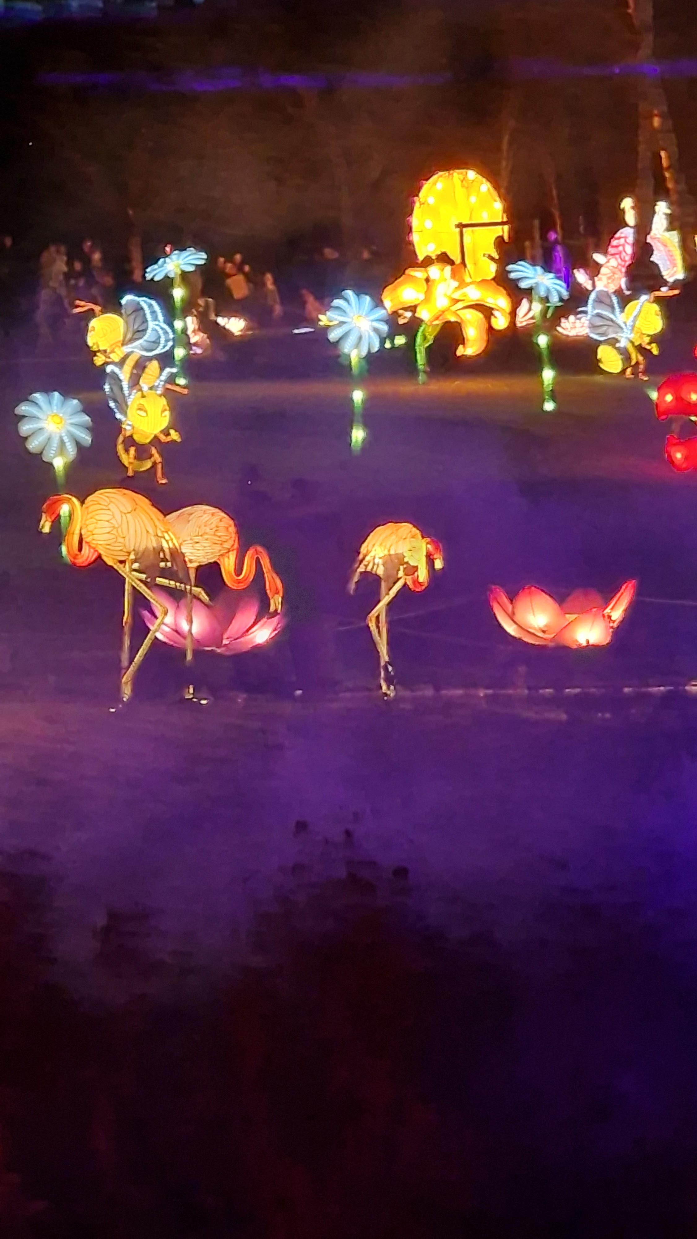 Photo n° 15 de l'avis de Marie.i fait le 29/12/2023 à 15:13