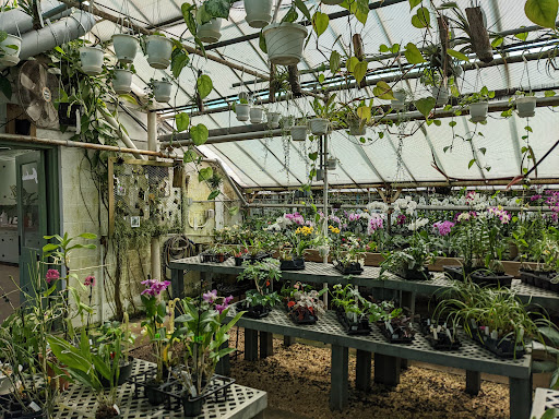 Florist «Little Brook Orchids», reviews and photos, 25 Rider Ave, Lancaster, PA 17603, USA