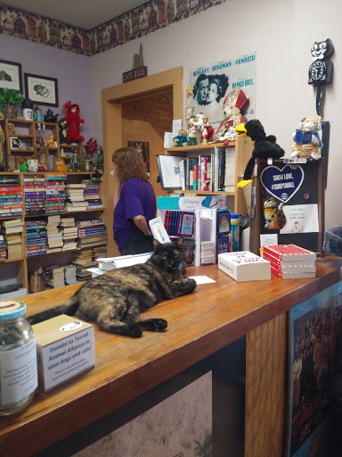 Used Book Store «Books & Crannies», reviews and photos, 209 W Moore Ave, Terrell, TX 75160, USA