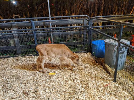 Farm «Buford Corn Maze.», reviews and photos, 4470 Bennett Rd, Buford, GA 30519, USA