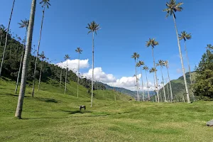 Cocora Valley Trail image