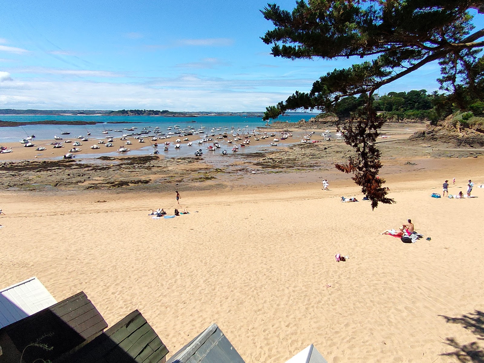 Foto von Plage de la Grande Salinette mit sehr sauber Sauberkeitsgrad