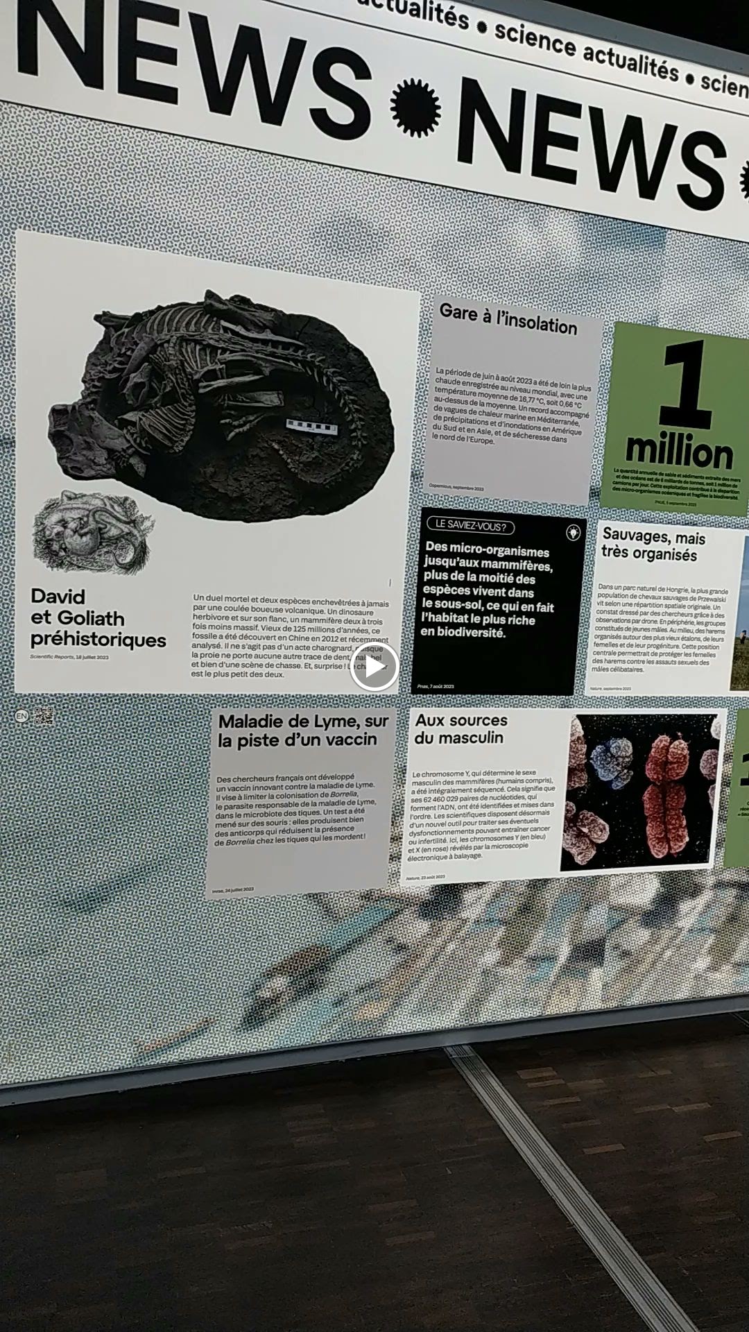 Photo n° 38 de l'avis de Cyanopsie.E fait le 14/01/2024 à 21:11