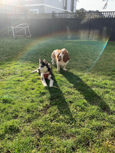 Cedar Grove Animal Hospital image