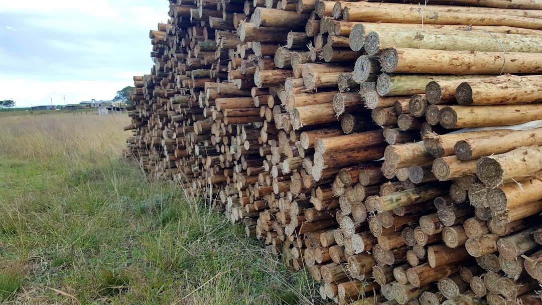 Protea Timbers