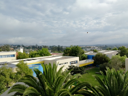 Schools actors in Quito