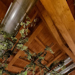 Photo n°6 de l'avis de Giulia.L fait le 11/09/2023 à 11:29 sur le  Ristorante Da Rosa à Intimiano