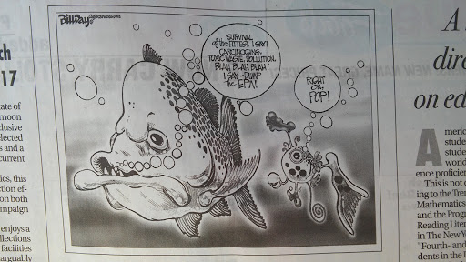 Thrift Store «Salvation Army», reviews and photos, 703 Daybrite Dr, Tupelo, MS 38801, USA