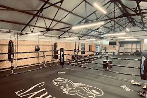 Harry's Boxing Club image