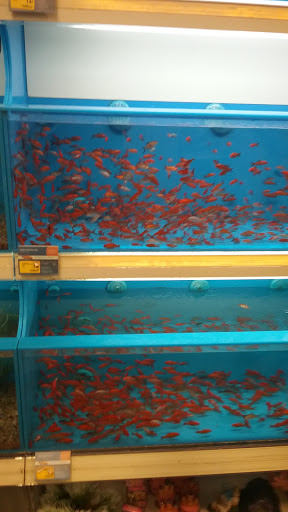 Pet Supply Store «PetSmart», reviews and photos, 6622 Charlotte Pike Suite 108, Nashville, TN 37209, USA