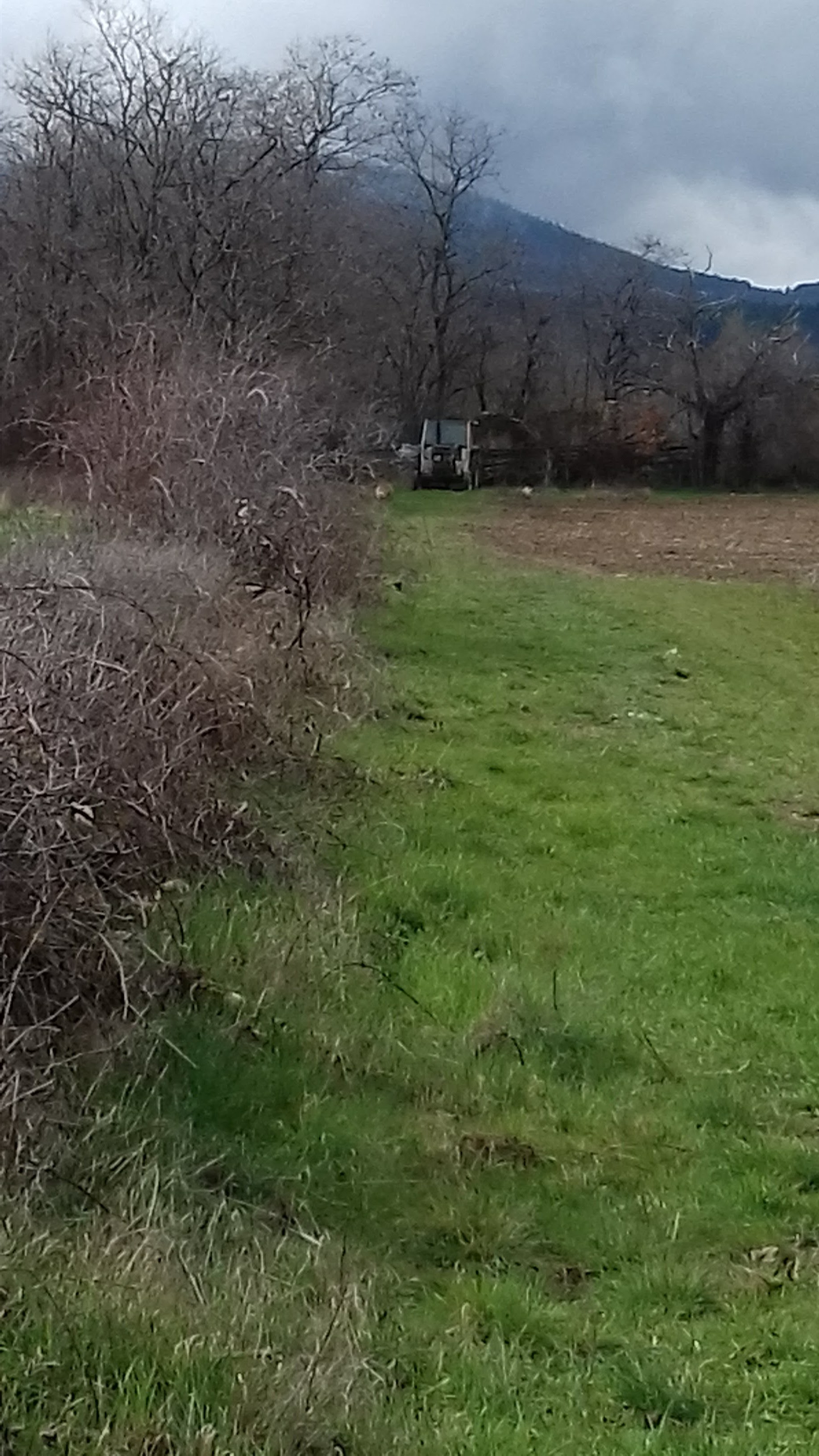 Photo n° 9 de l'avis de Mxtth.. fait le 25/03/2018 à 12:45