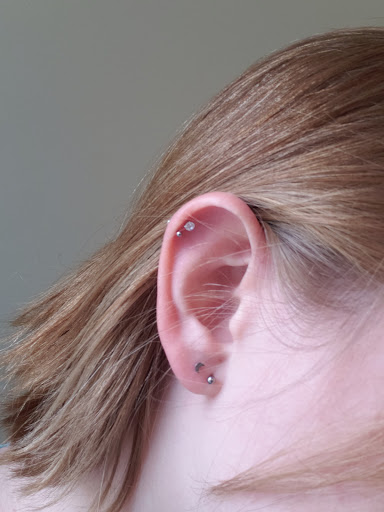 Explore dog bone tattoo ideas, creative tattoo ideas in Lehi, available at Steel and Stone Piercing