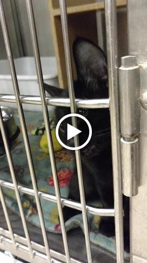 Pet Supply Store «PetSmart», reviews and photos, 2641 Lawndale Dr, Greensboro, NC 27408, USA