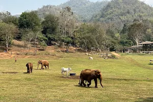 Elephant Nature Park Office image